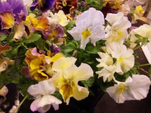 「ムーラン・ルージュ」｜「ＬＩＬＡＣ　ＡＶＥＮＵＥ’９１」　（愛知県名古屋市中区の花キューピット加盟店 花屋）のブログ
