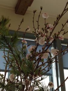 入学式｜「ＬＩＬＡＣ　ＡＶＥＮＵＥ’９１」　（愛知県名古屋市中区の花キューピット加盟店 花屋）のブログ